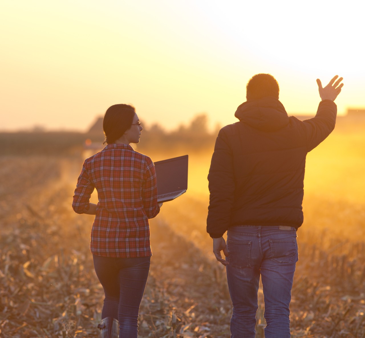 people in a field