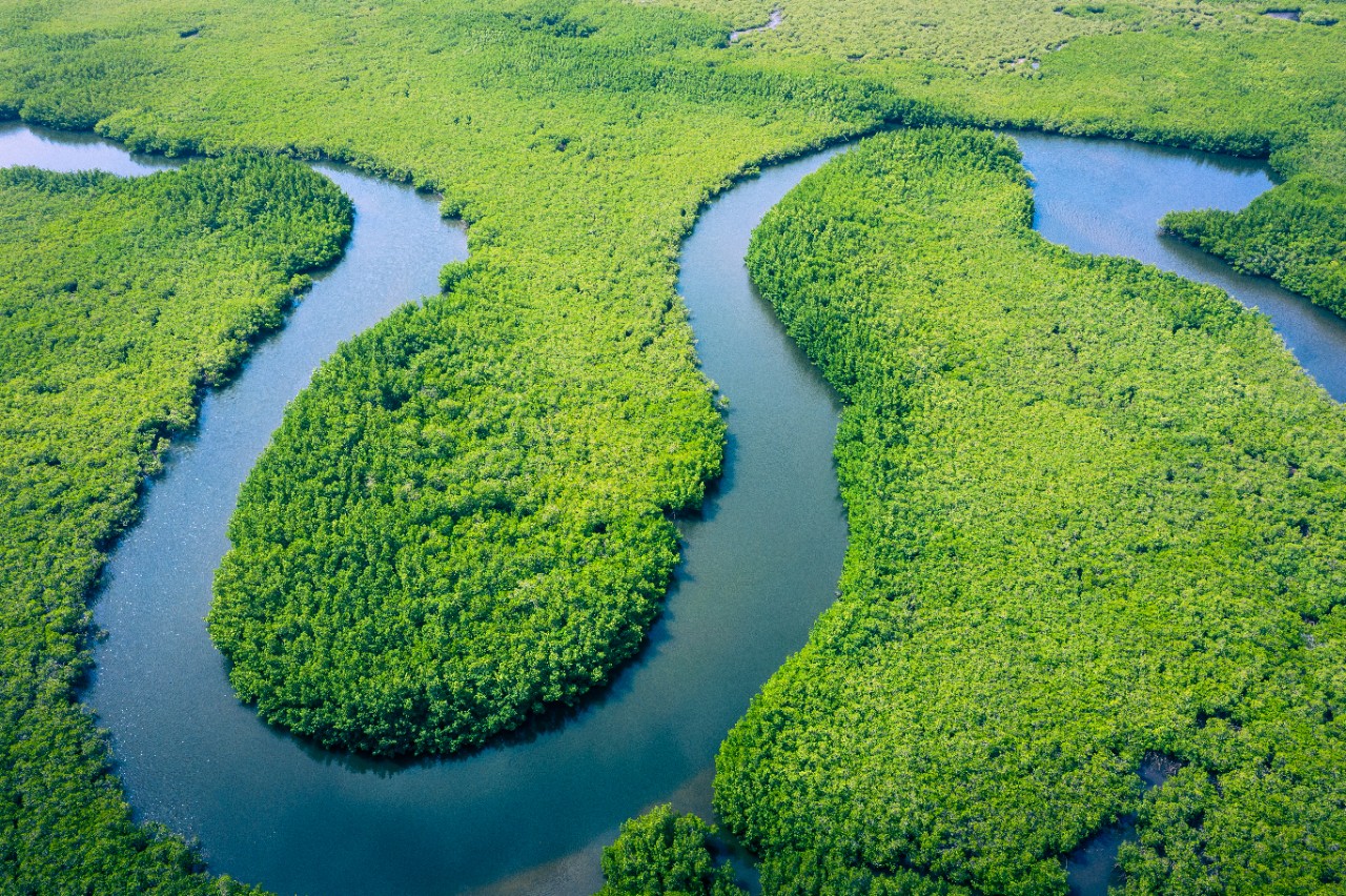 natural landscape